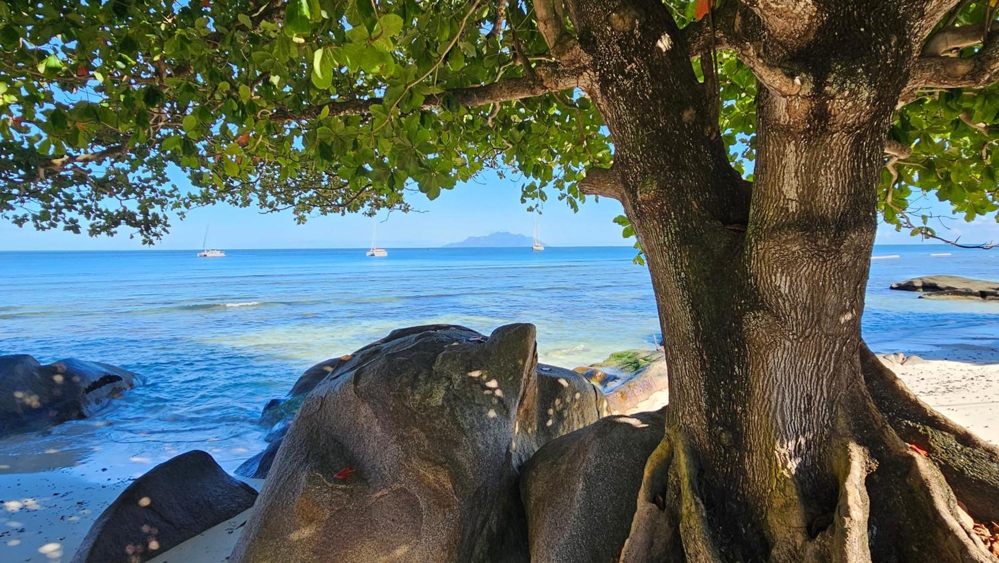 Harmony Self-Catering Apartments Beau Vallon  Dış mekan fotoğraf